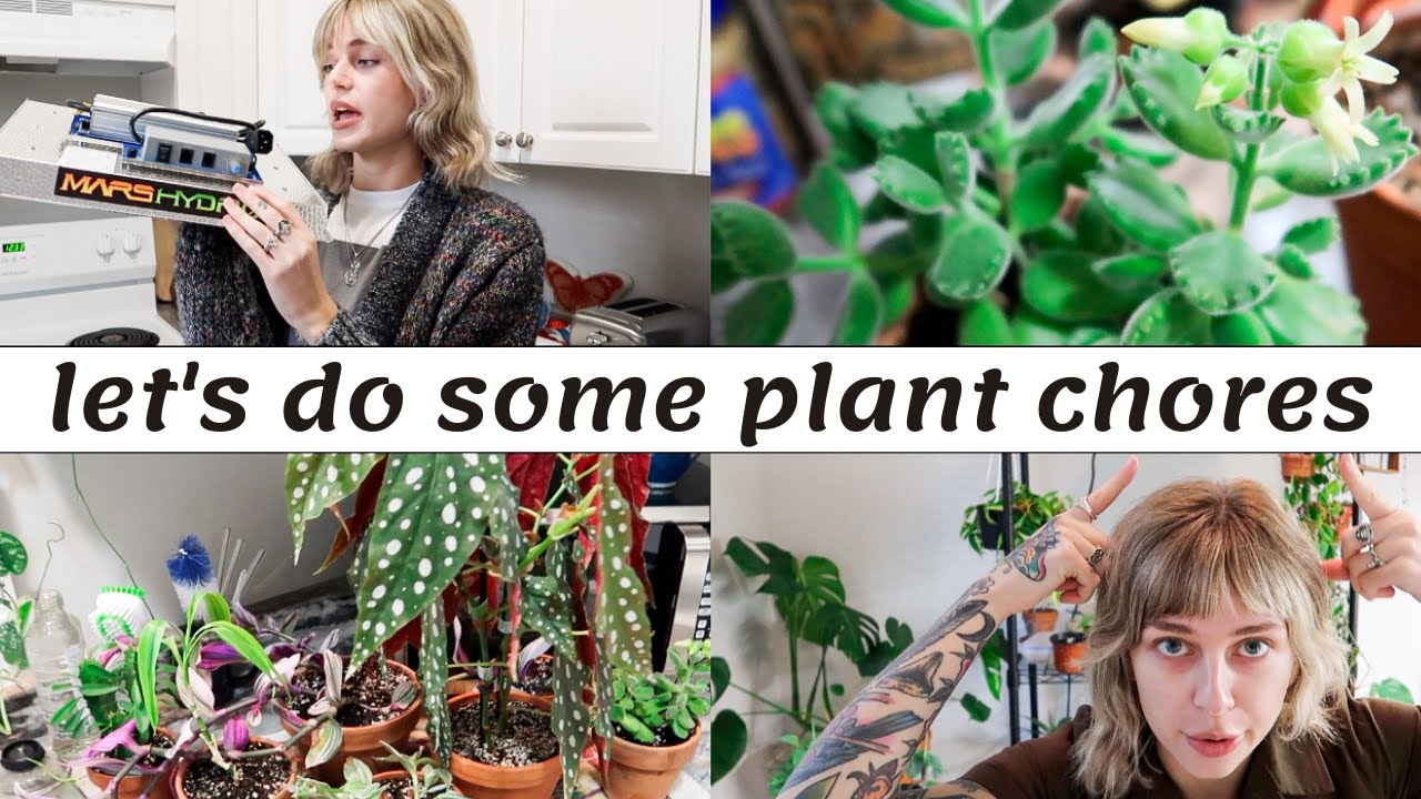 Plant Chores | saving my begonias, watering, & setting up a new grow light (Mars Hydro TS1000)