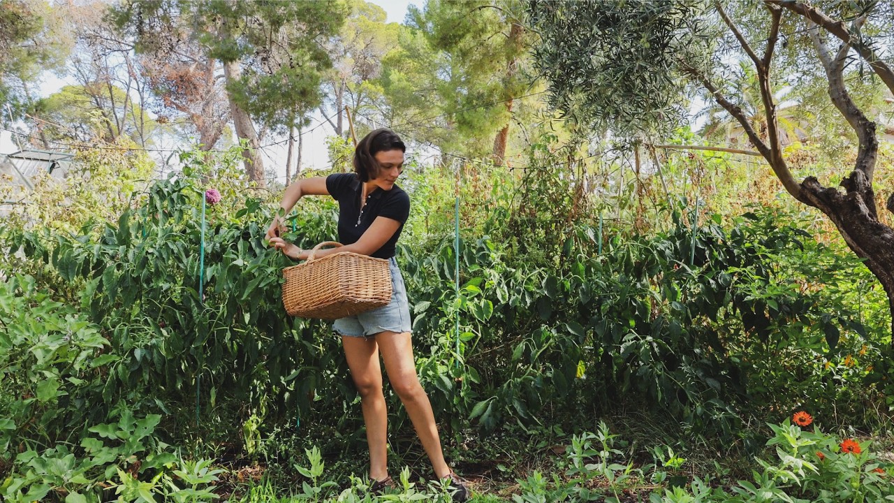 Malas Noticias y Qué plantar en Otoño - Un día de Octubre en la Finca