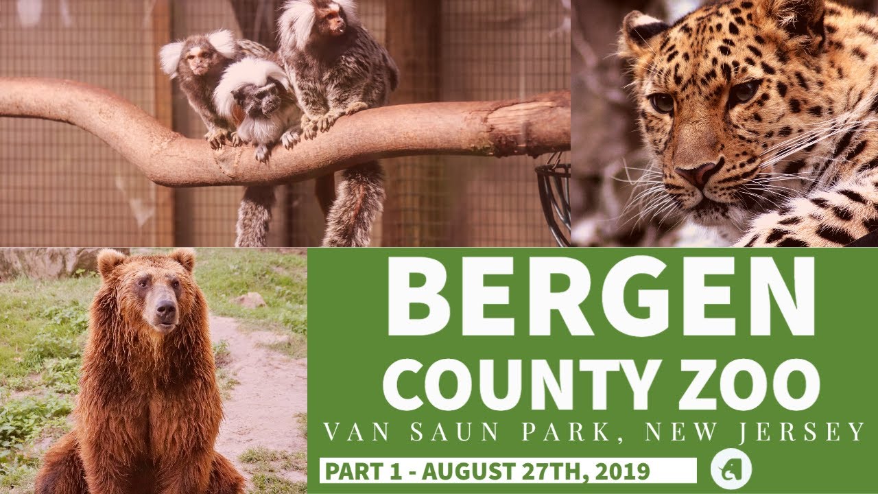 Part 1 - Bergen County Zoo @ Van Saun Park, New Jersey