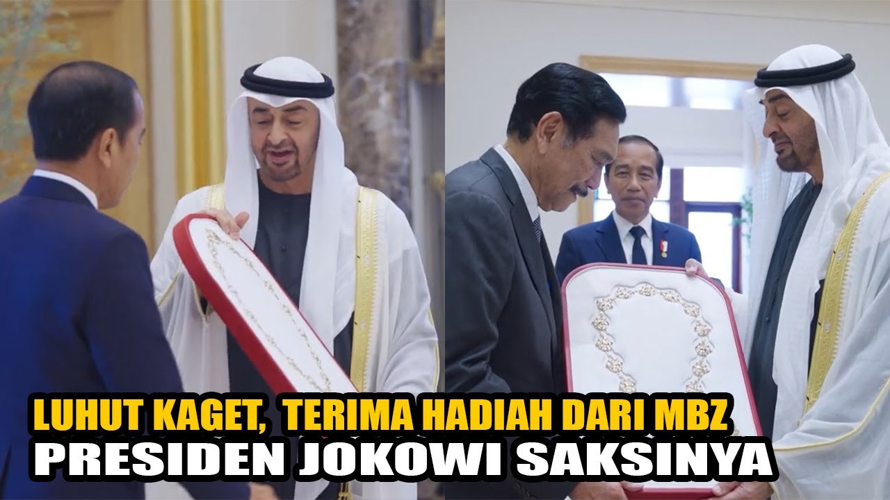 GAK NYANGKA LUHUT JG DPT,  PRESIDEN JOKOWI MENGUNDANG - MBZ OKE