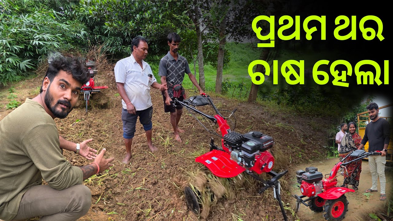 ପ୍ରଥମ ଥର ମାମୁଁ ଚାଷ କଲେ 🤩#829