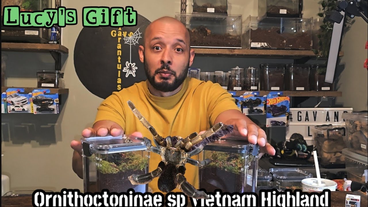 The Spidershop Unboxing Pt2             