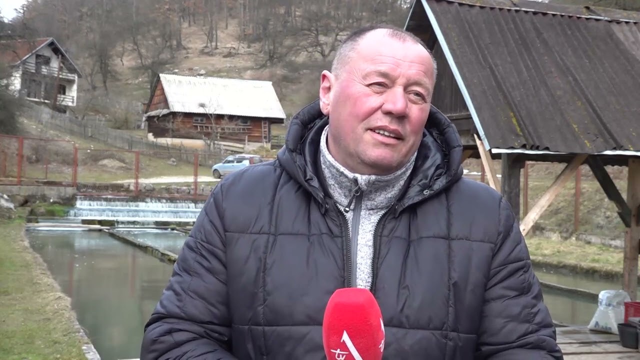 Proizvodnja ribe u selu Kruševci kod Sokoca