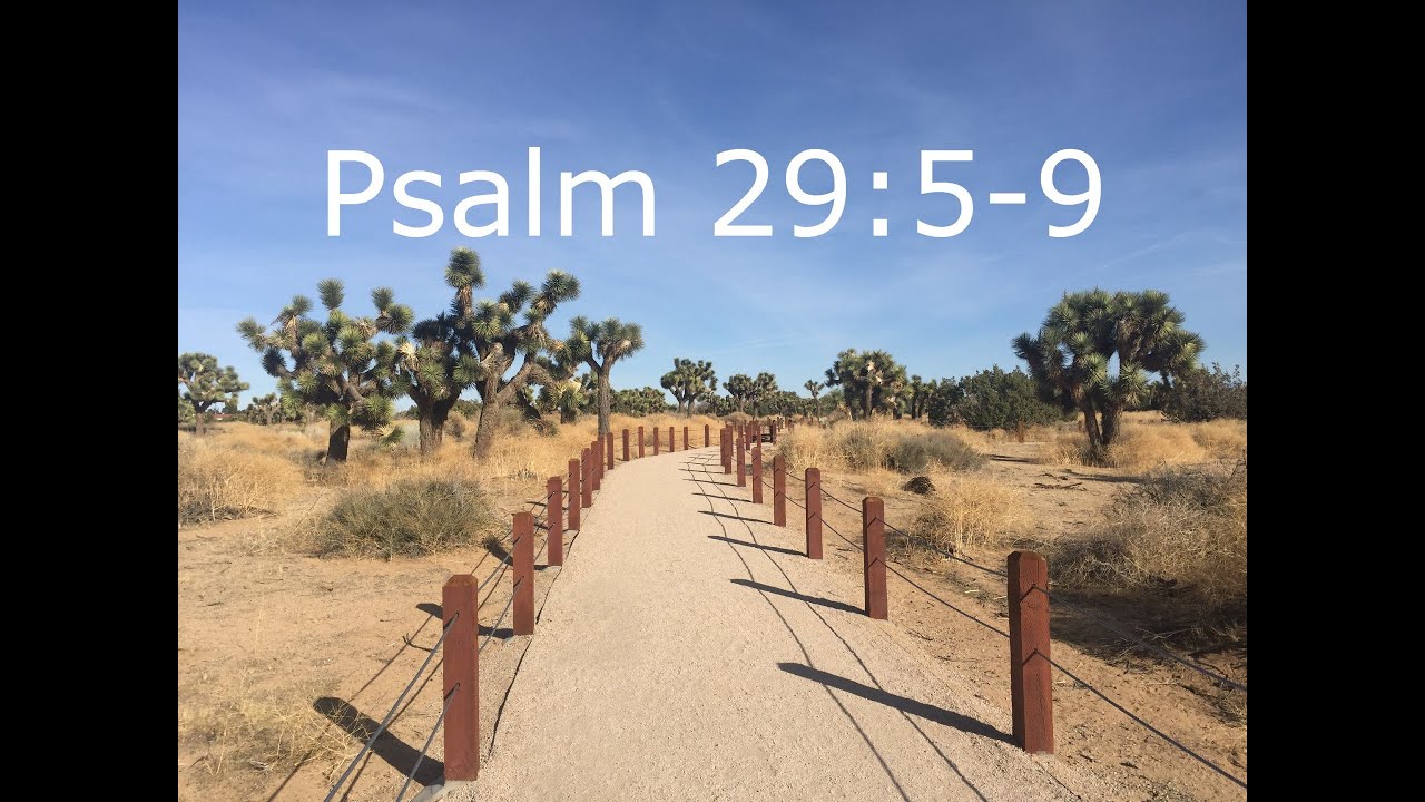 Psalm 29:5-9 | Bible Verses Adventures #18