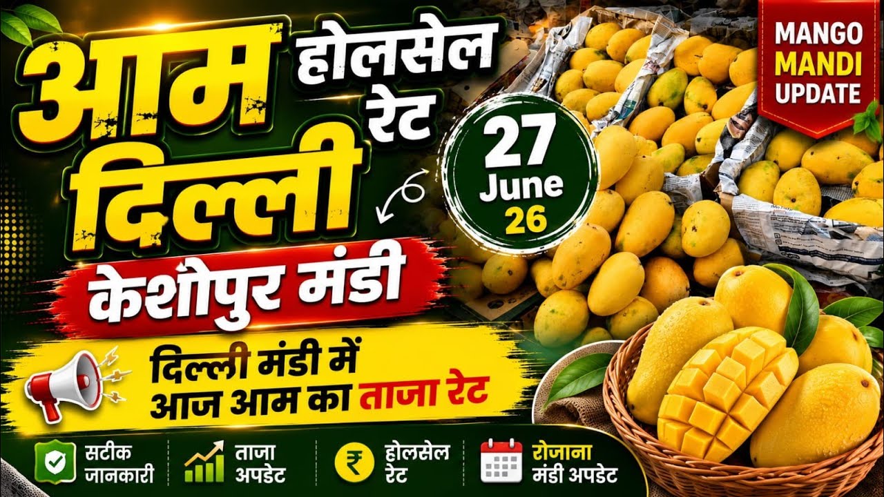 आम के थोक भाव 27 June 2026 | Mango Wholsale Market Keshopur Mandi Delhi #fruits #mango 