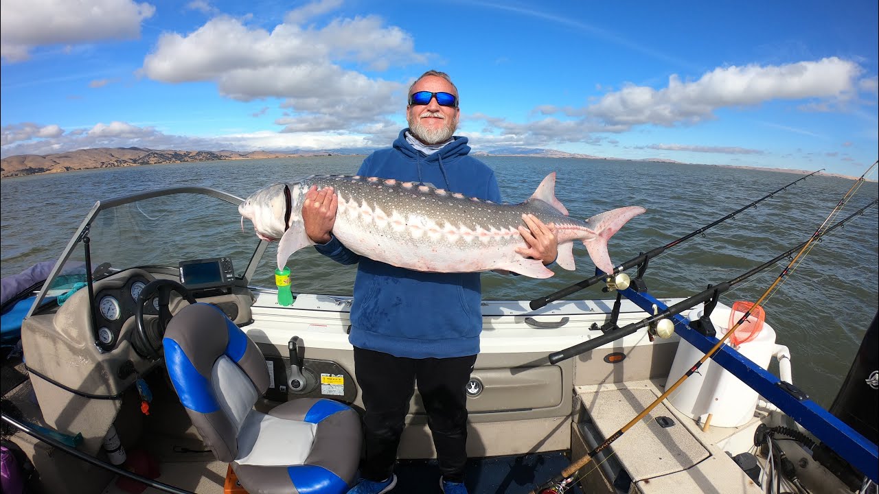 Beautiful day fishing for sturgeon in Suisun/ grizzly bay  10/27/2024