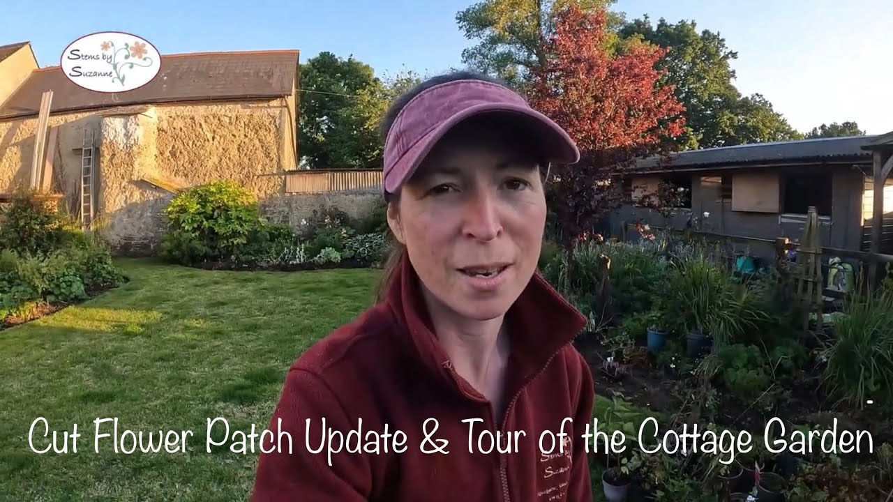 Cut Flower Garden Progress, & Cottage Garden Tour// Stems by Suzanne Cut Flower Garden