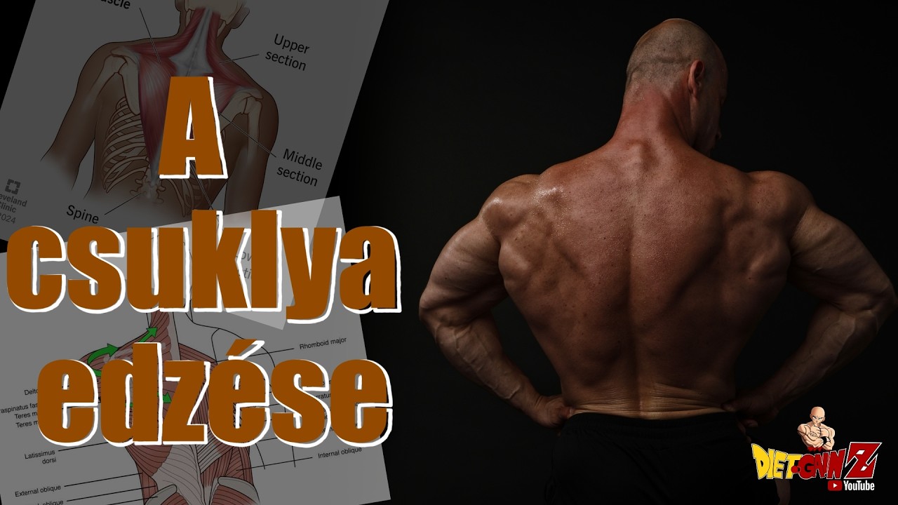 A csuklya edzése - Dietgainz