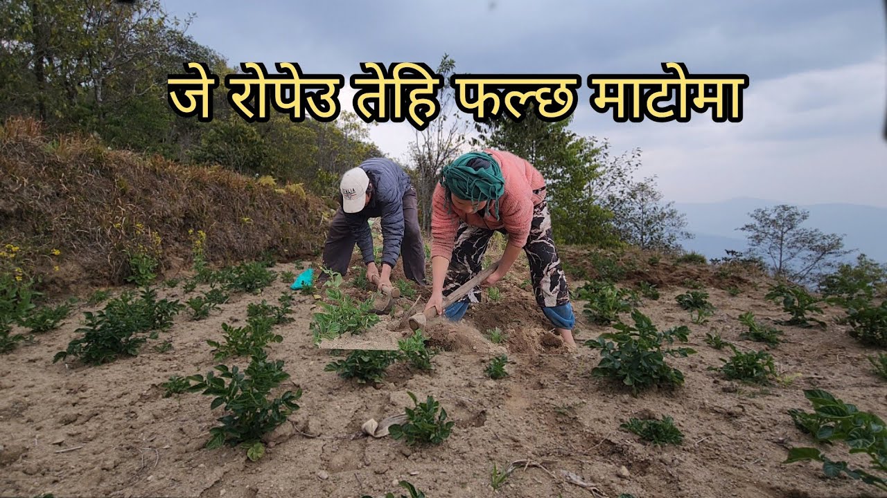 गरे के हुन्न फल्छ माटोमा सुन जे रोप्यो तेइ दिन्छ माटोले प्राकृतिले धोका दिदैना