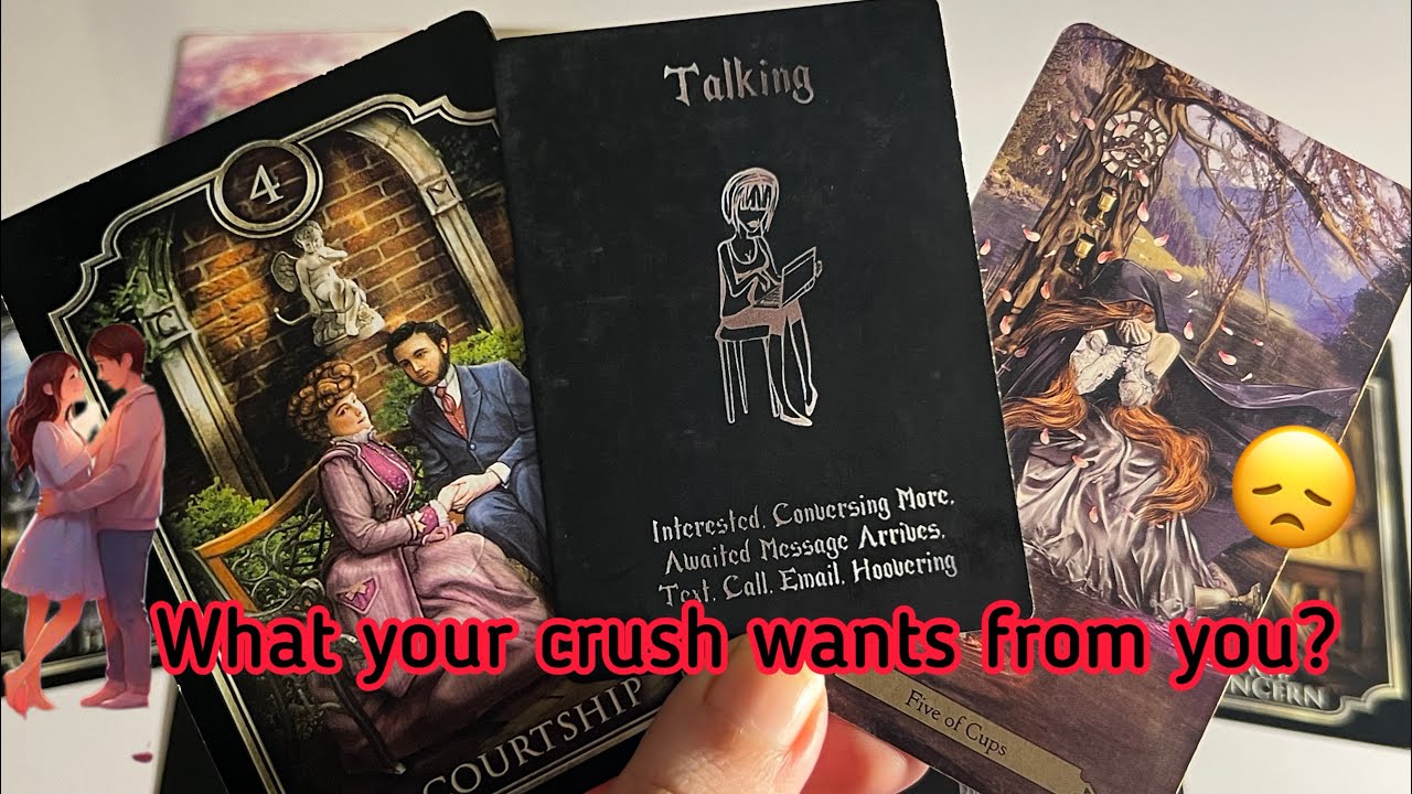 Crush Energies | What they want from you?♥️🌹 Hindi tarot card reading