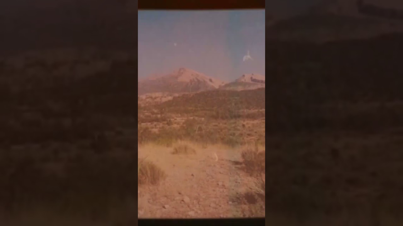 Partridge shoot 2022