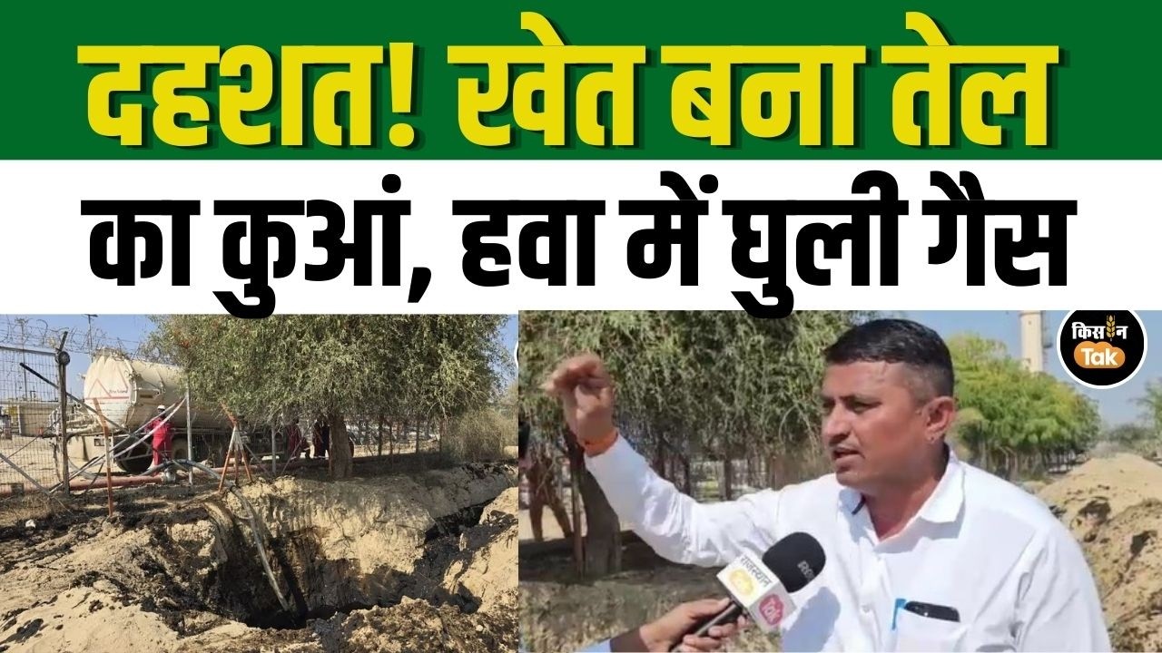 Barmer में Crude Oil रिसाव से किसान परेशान, देखें कैसे खेत बना तेल का कुंआ! #rajasthannews