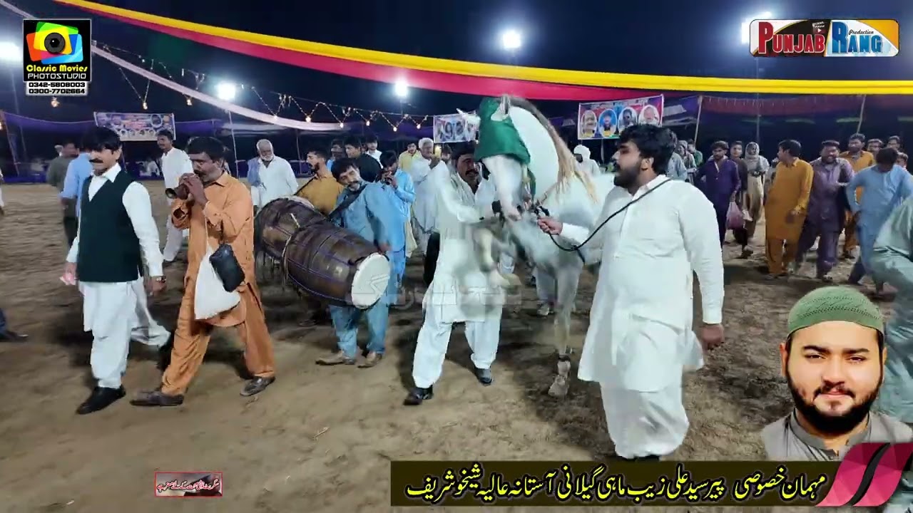 Nigah e Hakam l 9 October 2025 lHorse Dance 13 11 L Chichawatni Sahiwal l Ch Zumard Sutan Gujar