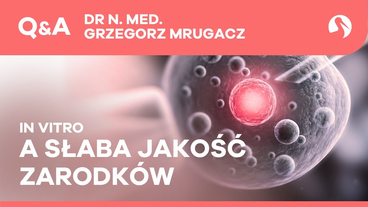 LIVE Q&A - Słaba jakość zarodków a nieudane in vitro