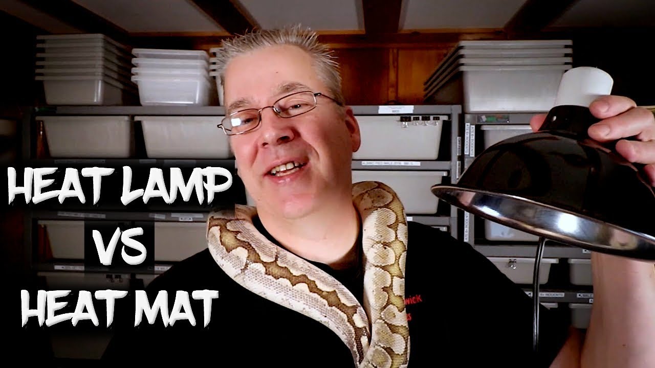 Heat Lamps vs Mats (which is better?)