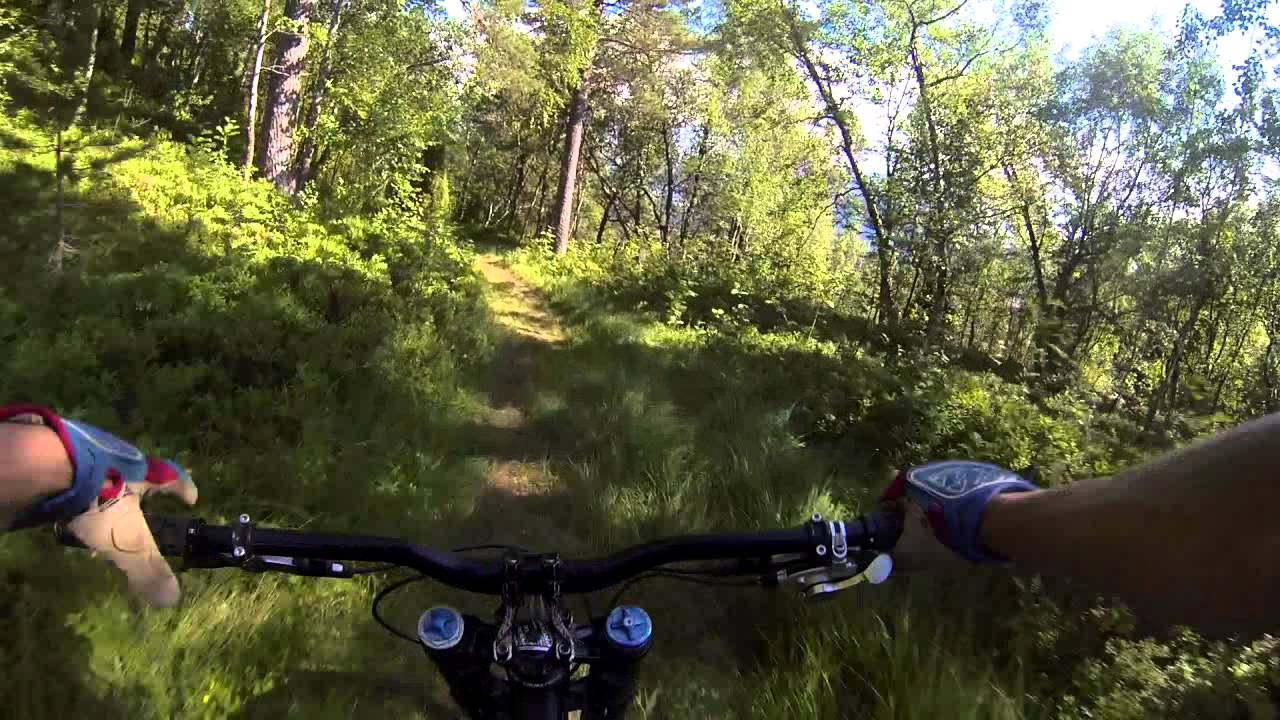 Strengen PushBike