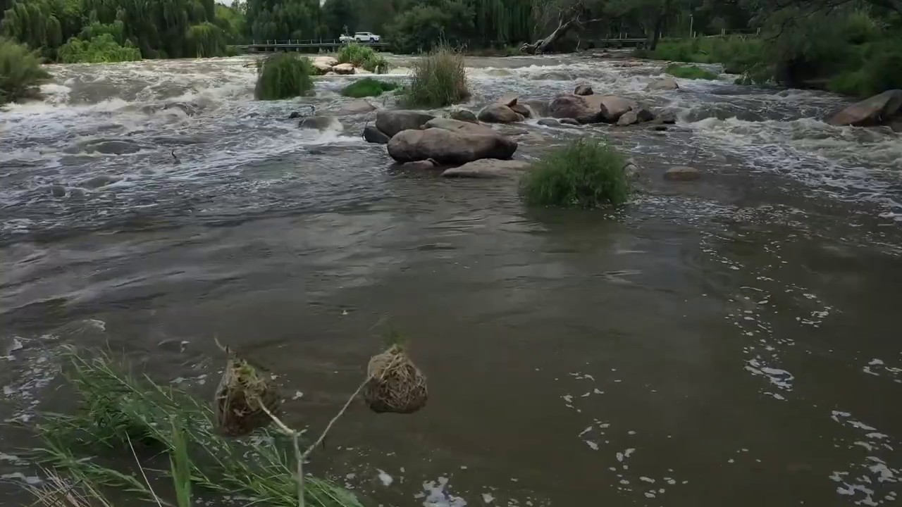 Parys - Place of Dreams