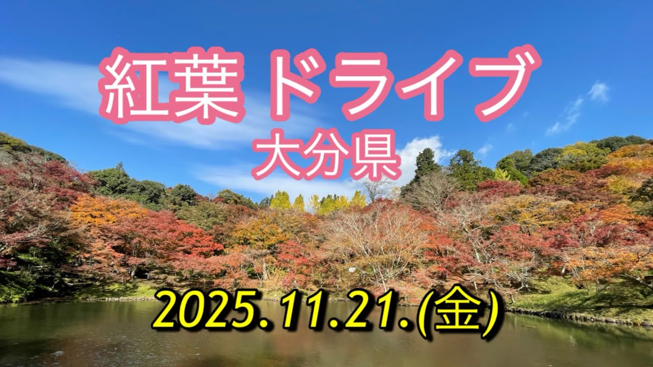 大分県の紅葉の名所、用作公園と岡城跡に行ってみました　　#岡城跡 #用作公園 #紅葉 #やまなみハイウェイ