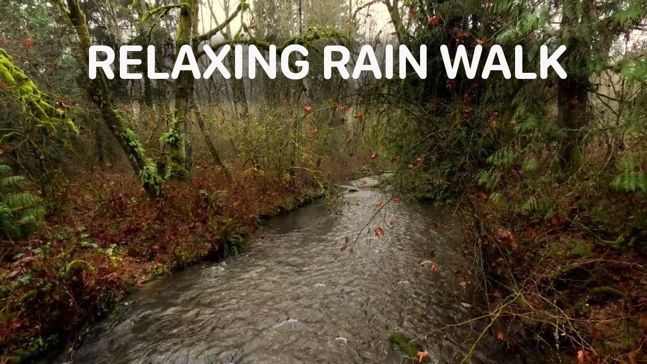 Rainy Forest Walk 🌧️ Vancouver BC | No Music, Natural Sounds | Serpentine Loop Trail