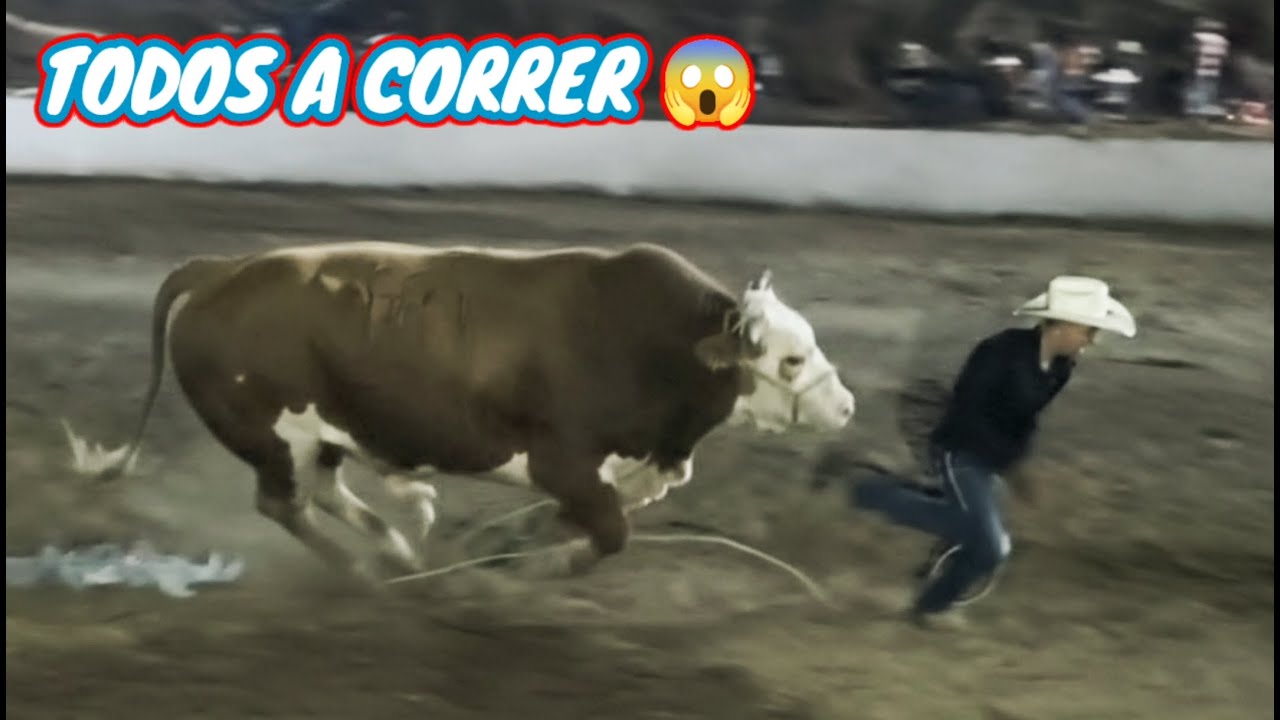 TRES TOROS PELIGR0S0S -JARIPEO  Nocturno #jaripeo #toros #rodeo #caballos #jaripeo2026