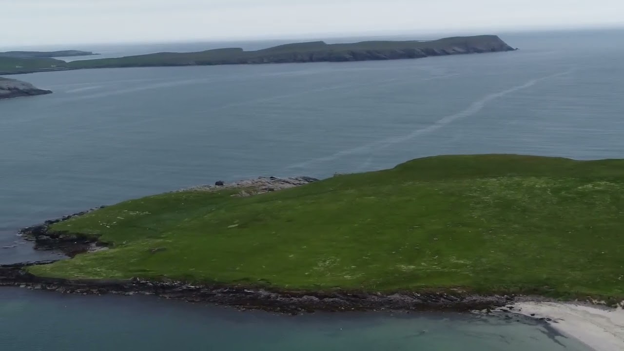 Shetland Levenwick 2021