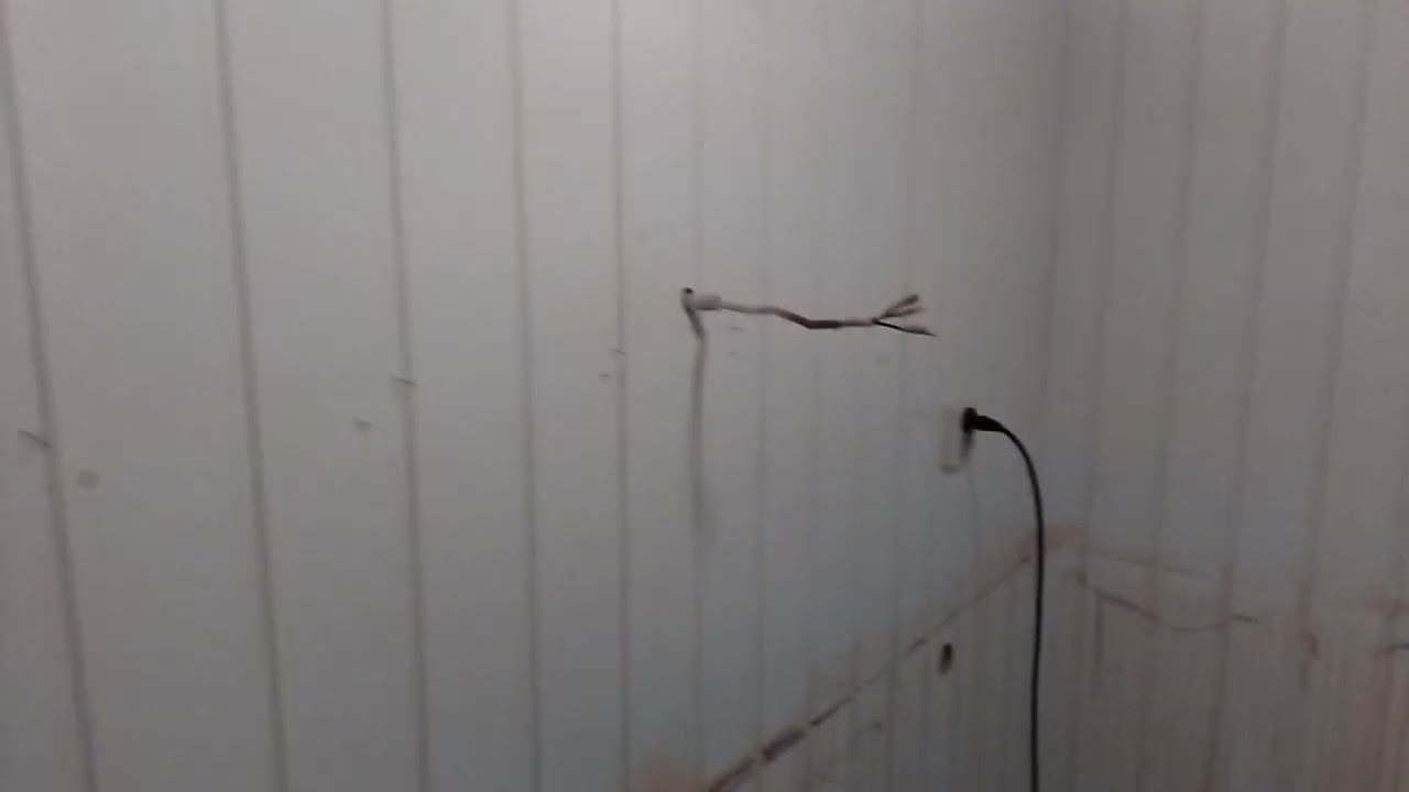 Old kitchen taken down and getting ready to lay laminat flooring. Video 3