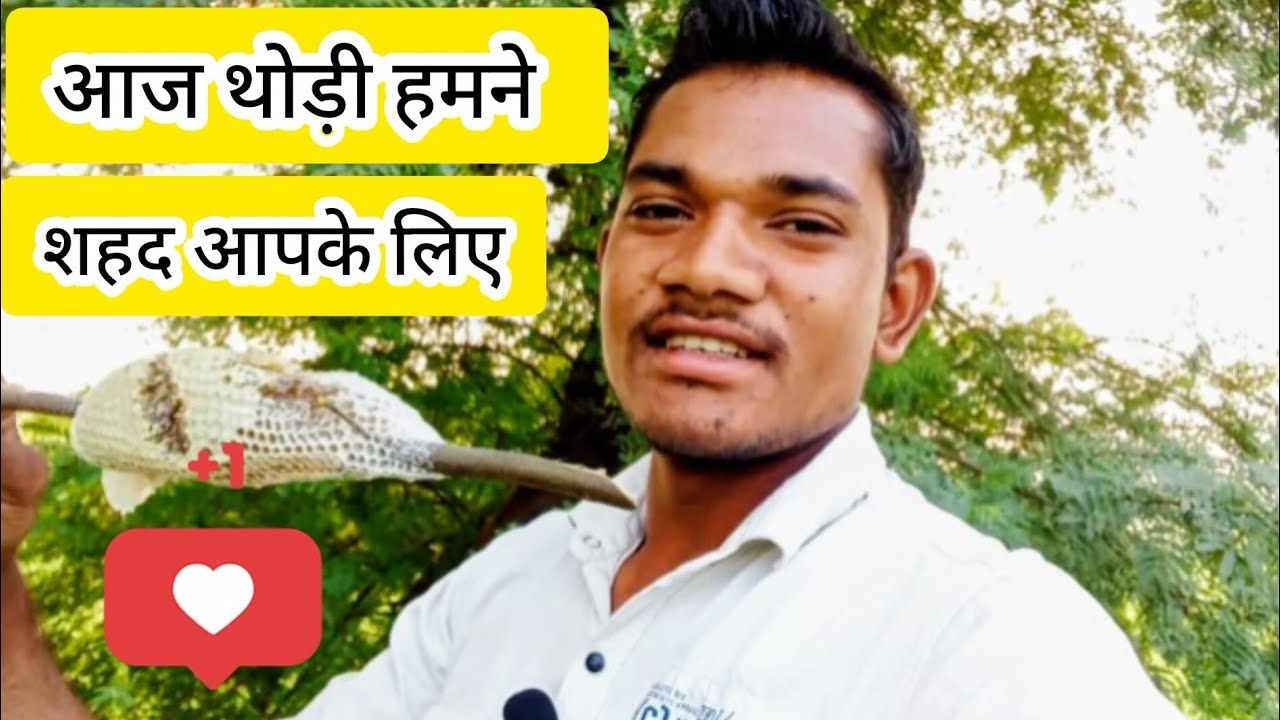 आज हमने शुद्ध शहद खाया 🍯 | गांव का देसी शहद | 6 मिनट का मजेदार व्लॉग