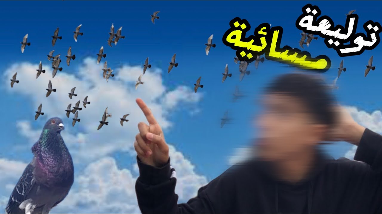 توليعة مسائية في السماء 🫶🏻🤯حمام فرجوني في السماء😍🤯 ودكور حيحووو🤯😱