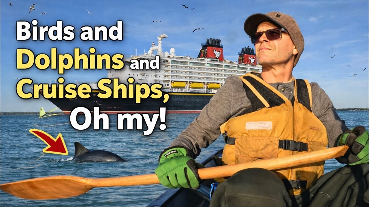 Exploring a Marina and Ship Channel by Canoe | Up-Close Dolphin Encounter