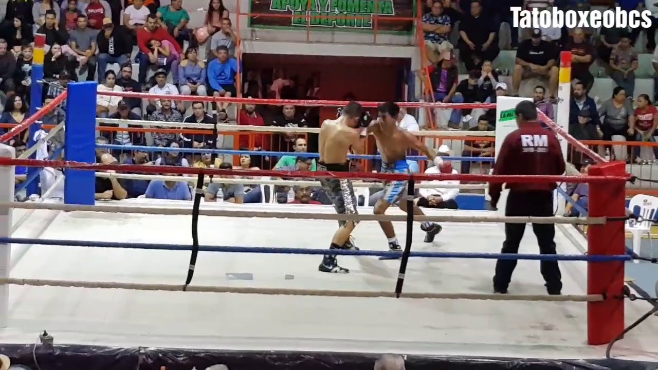 Paul HATCH Gonzalez Vs Jesus Gastelum buena pelea Tato boxeo bcs