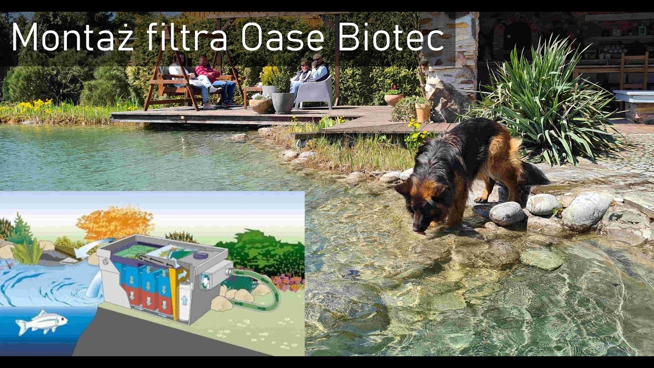 Montaż Filtra BioTec ScreenMatic² 140000 - przejrzysta woda w twoim stawie kąpielowym i oczku wodnym