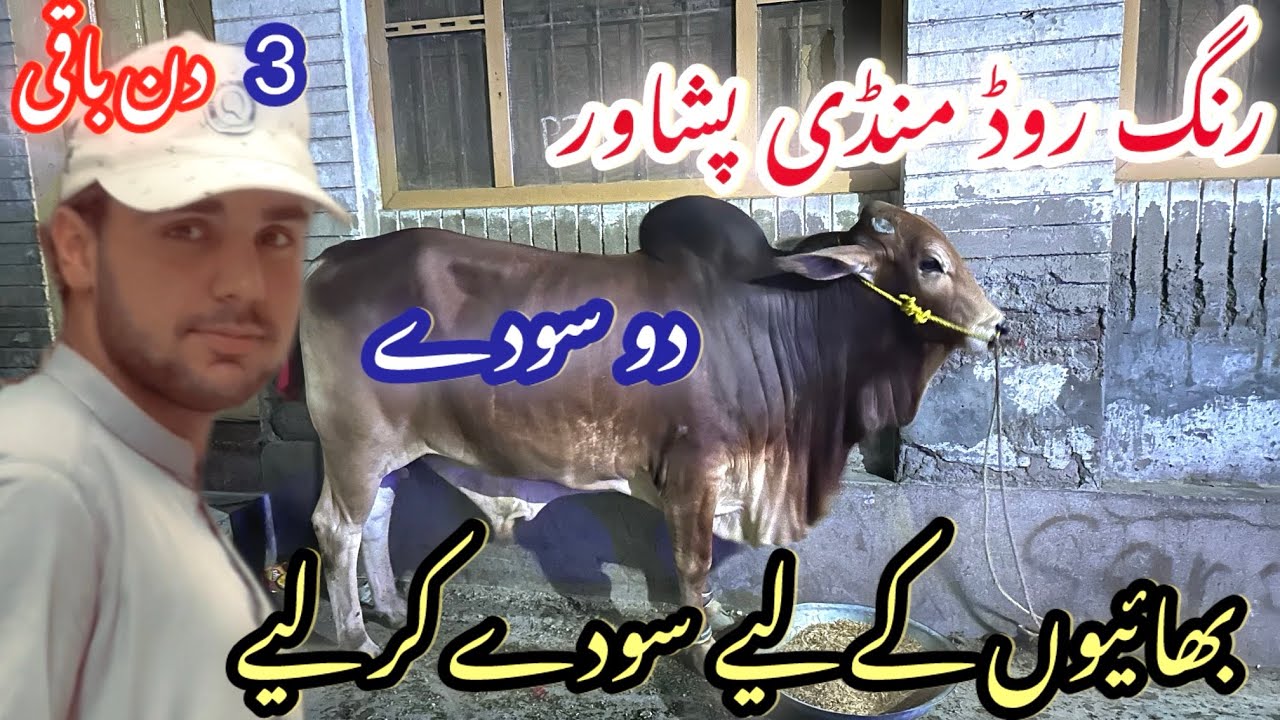 Ring Road Mandi Peshawar/ajj bhaiyo ko du sody kr leye /Eid ke leye 3 din baky/Today Update 4/6/2025