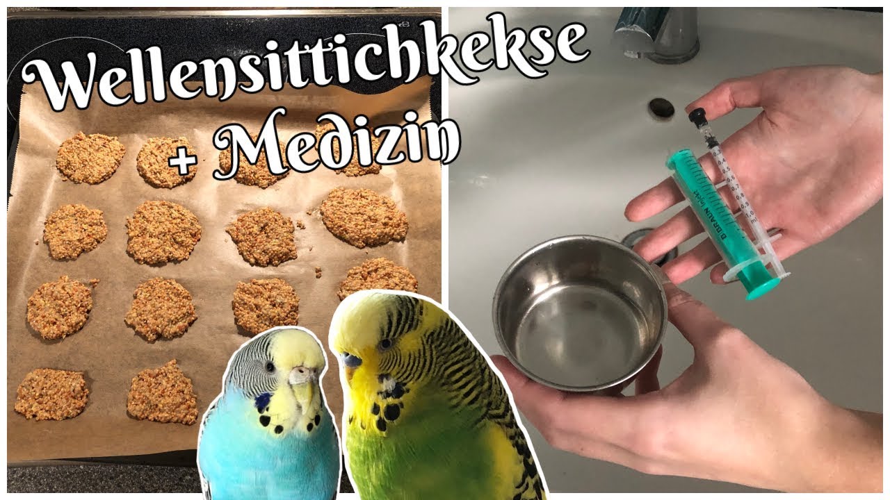 Wellensittichkekse backen🍪 + Medizin verabreichen🤒 Daily Vlog 23.12.2018