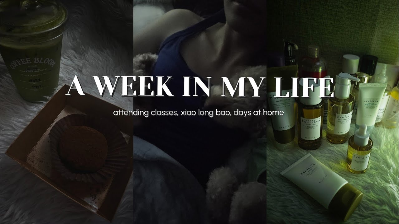  quiet days in my life | introvert diaries 