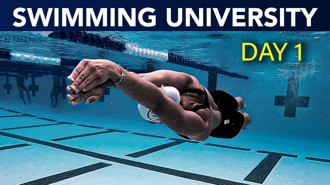 Swimming University : DAY 1