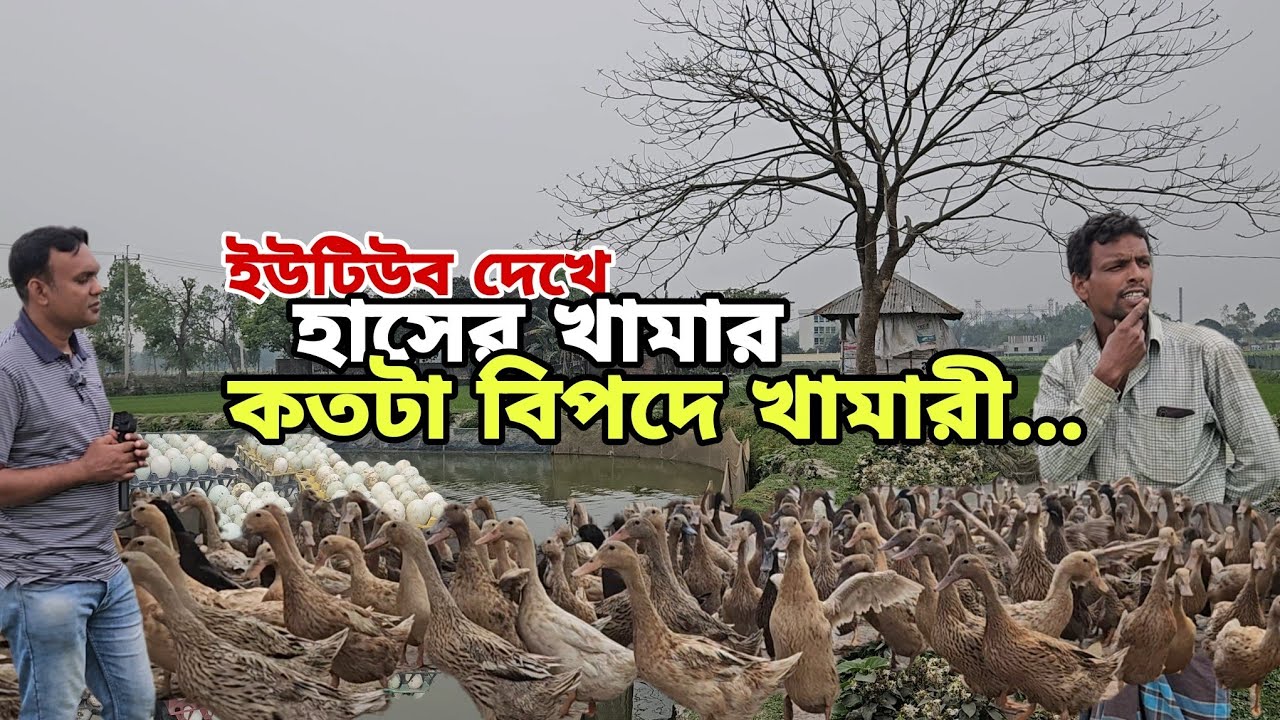 ইউটিউব দেখে হাস পালন | দেশি হাস পালনে বাস্তব অভিজ্ঞতা দেখুন | Agro Dream Bangla