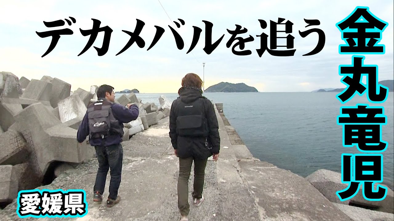 強風の中ランガン！シーズン開幕したメバリング攻略術とは 『根魚！コーストパトロール 11』【釣りビジョン】