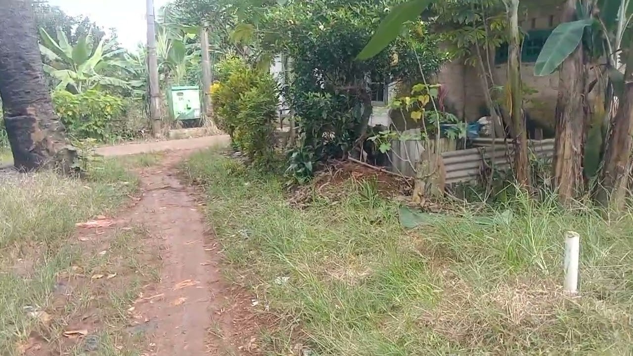 Di jual tanah kebun murah se luas 100 mtr surat AJB di jual 70 jta nego tipis 