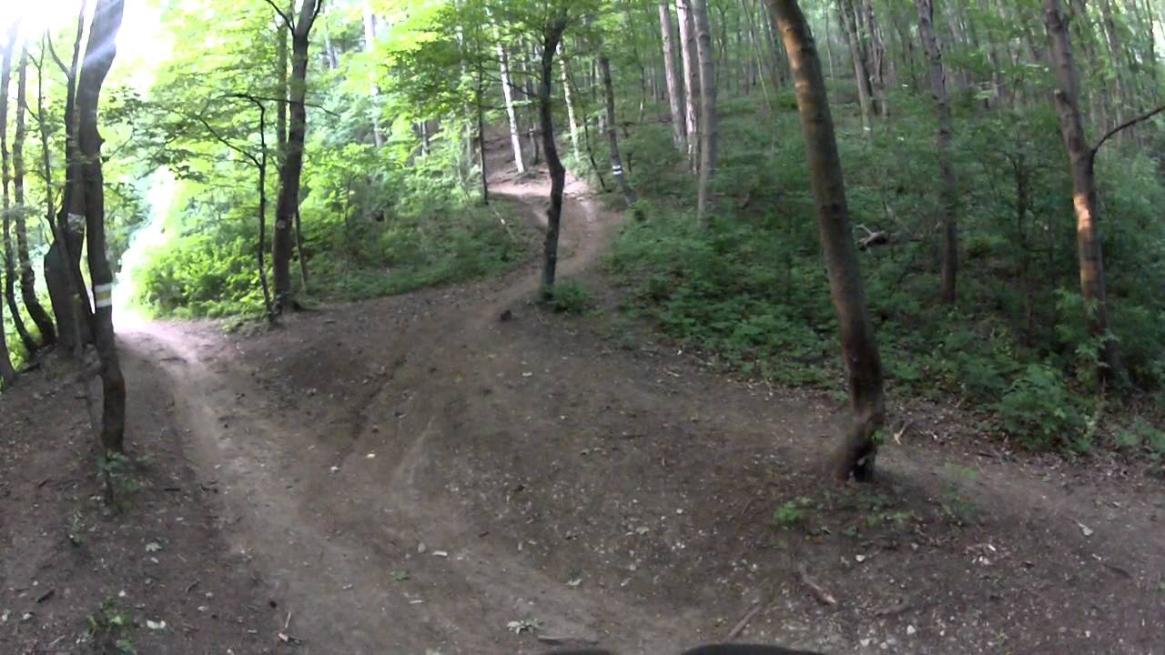 Kahlenberg Serpent's trail Technical Downhill :)
