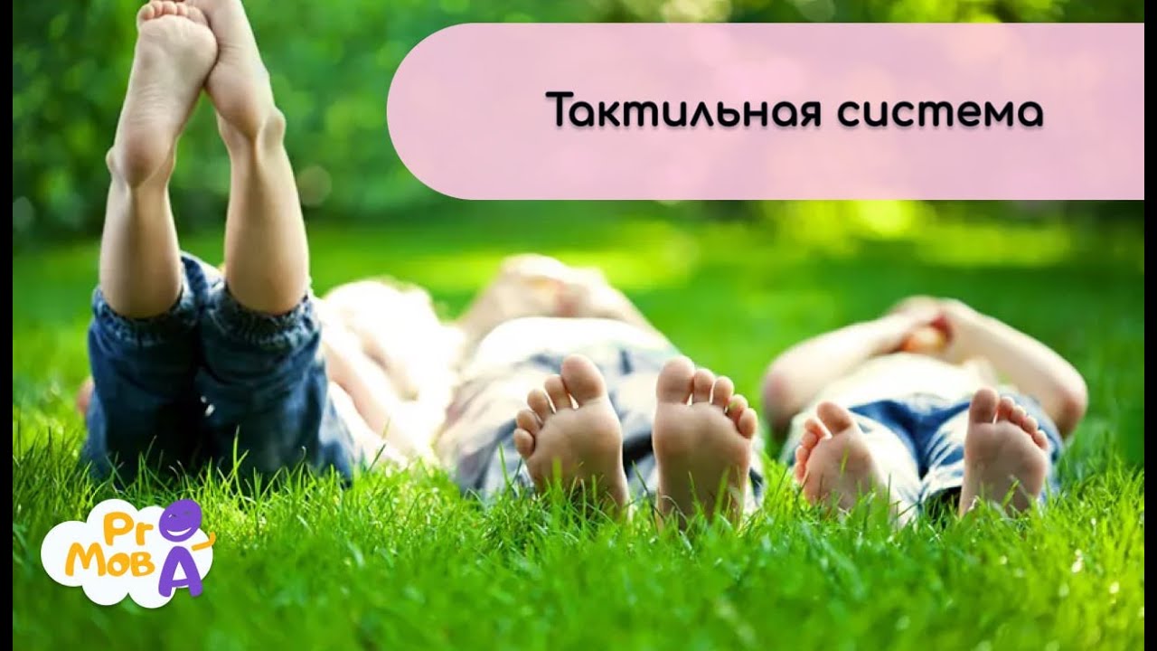 Про тактильную систему