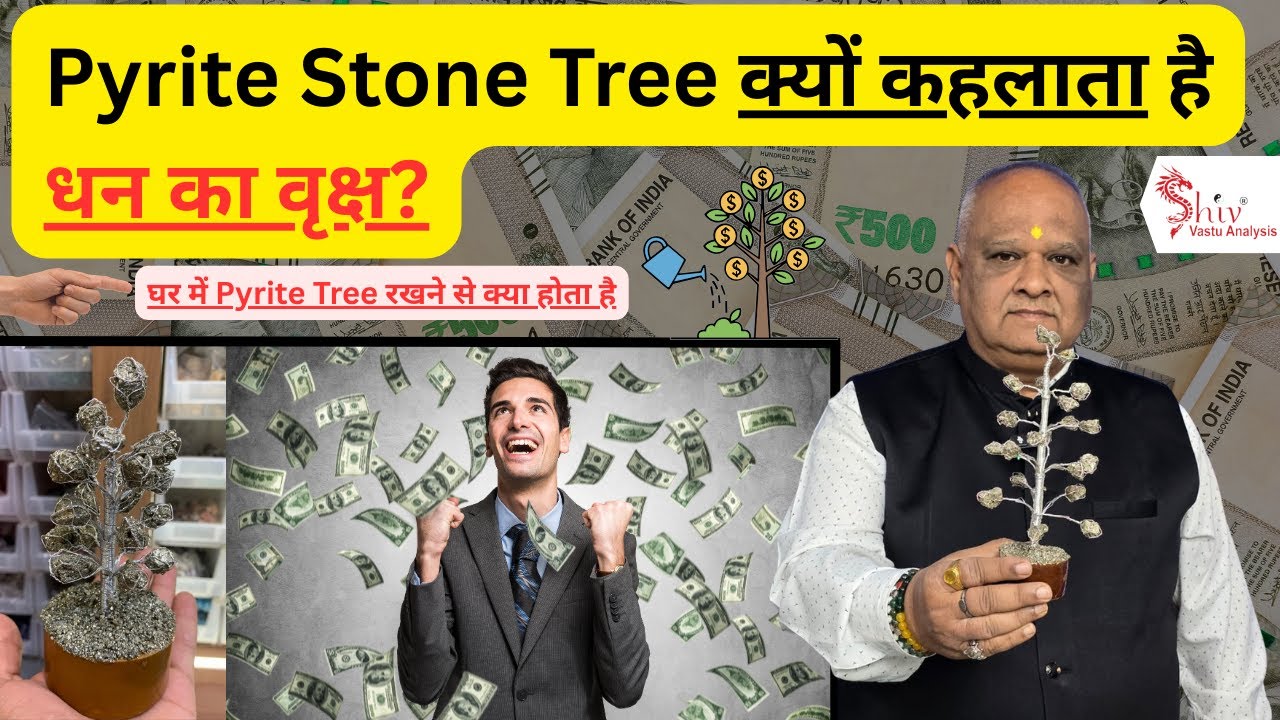 Vastu Tips to Increase Gains & Double your Income  | Wealth & Prosperity Remedies 