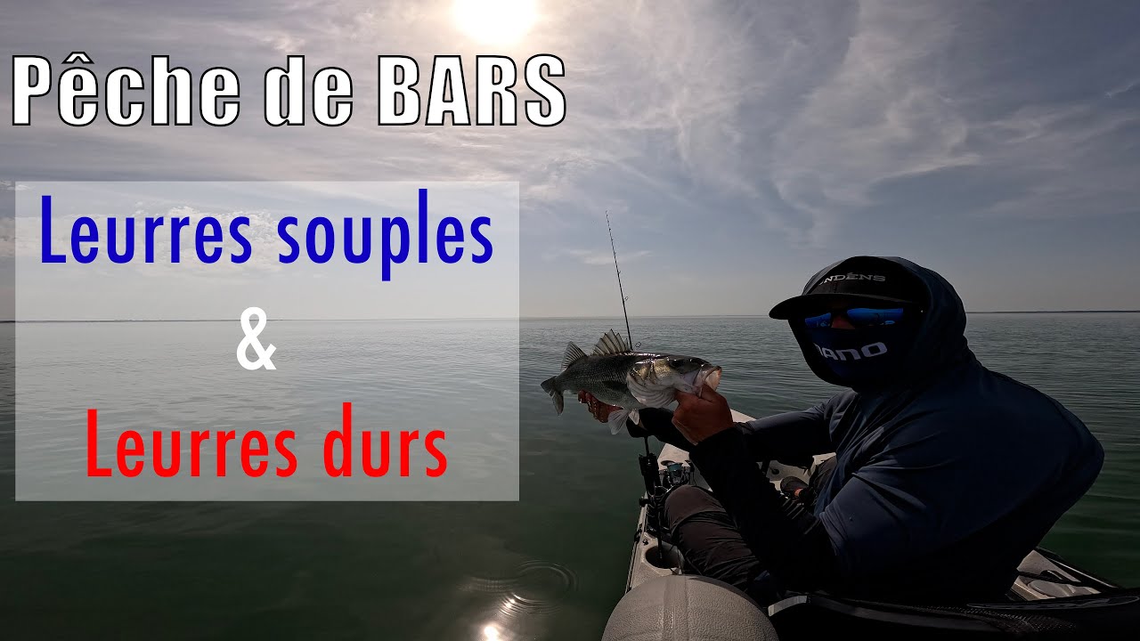 Pêche du BAR : ça EXPLOSE EN SURFACE !