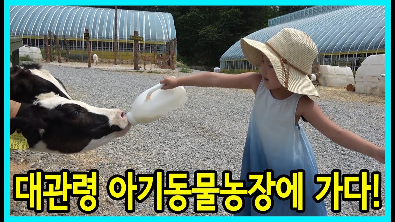 [사랑아놀자]사랑이와 승리가 대관령 아기동물농장에 가다!