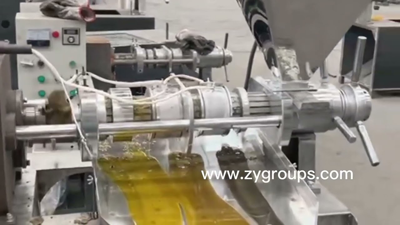 Automatic rapeseed oil extraction machine equipment Peanut walnut corn grate oil processing machine
