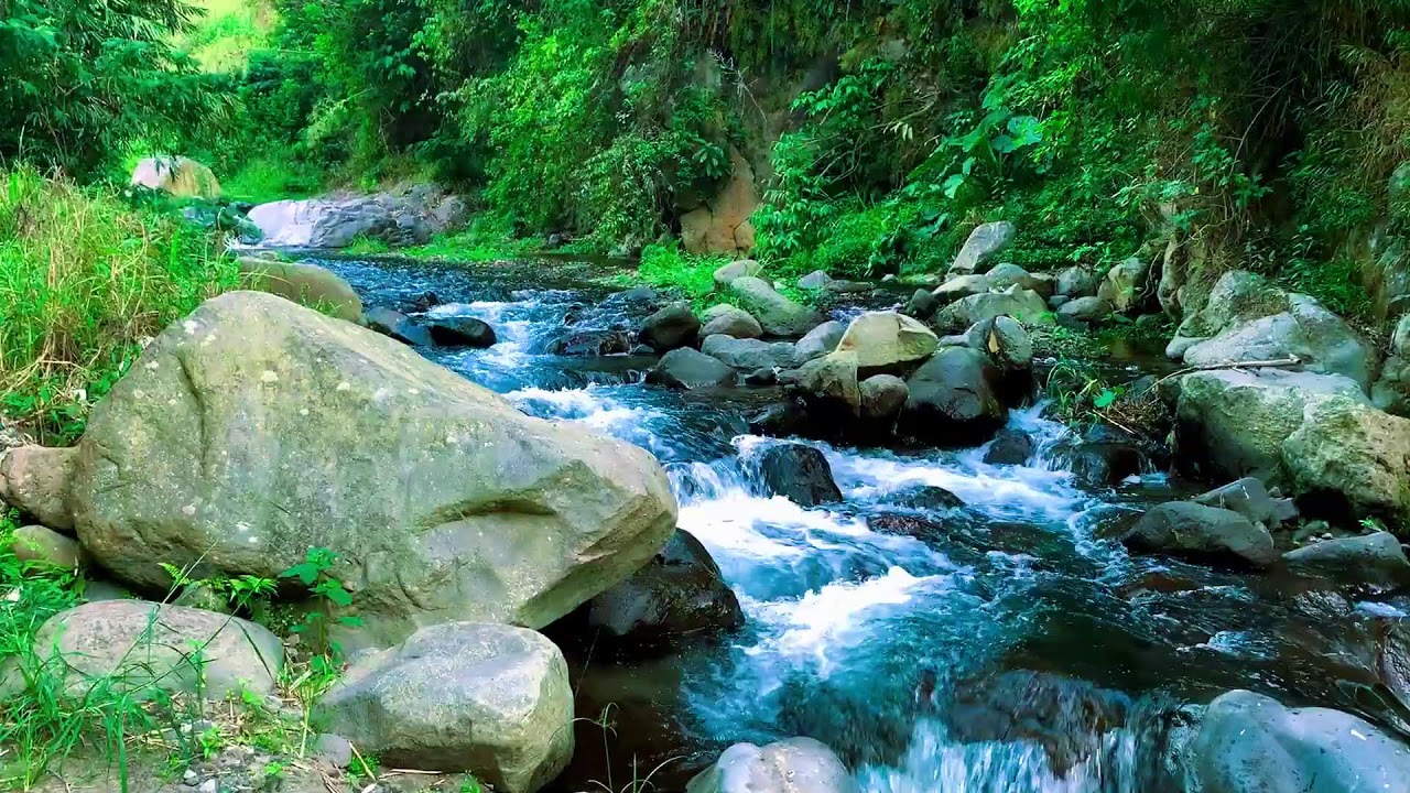 Comforting River Sound to help Sound Sleep & Zen