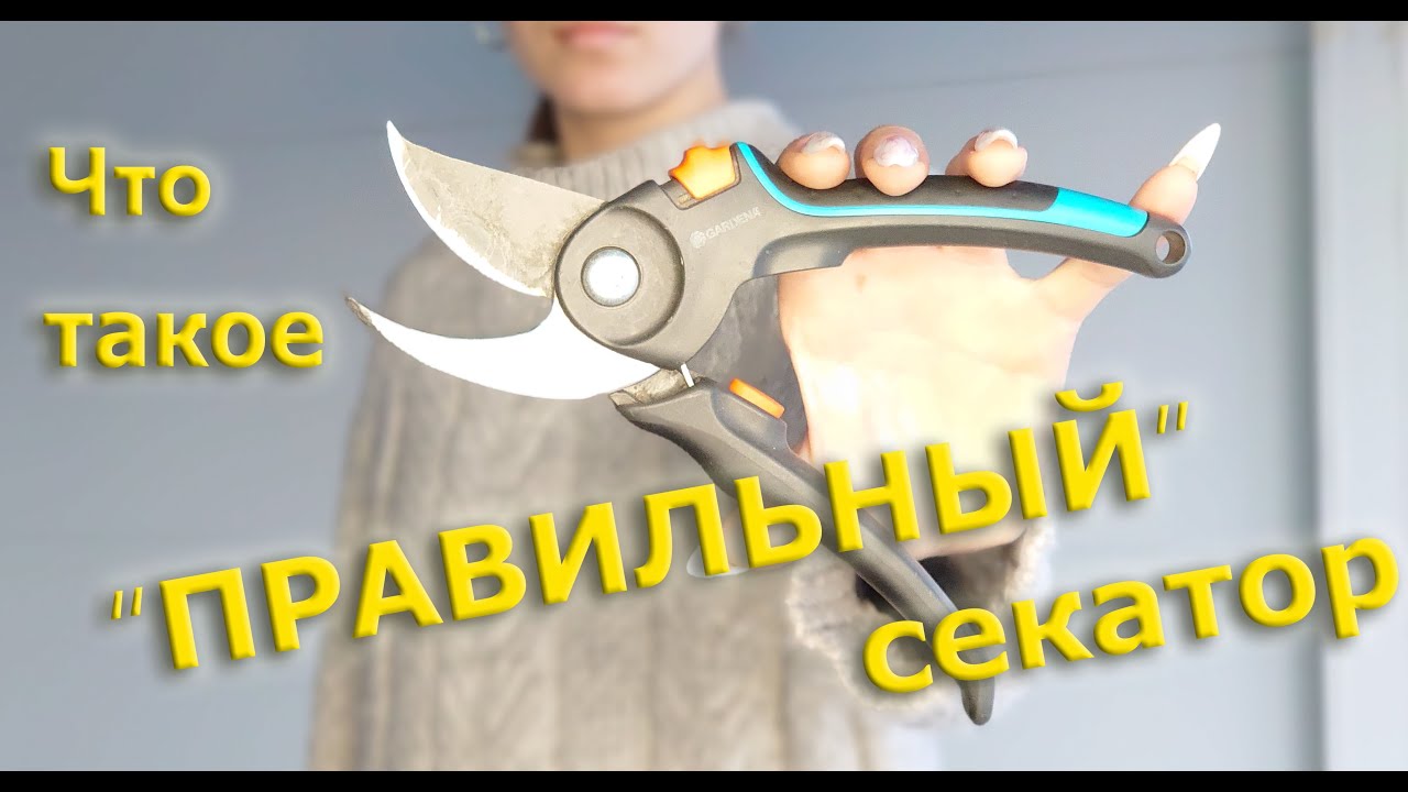 Что такое 