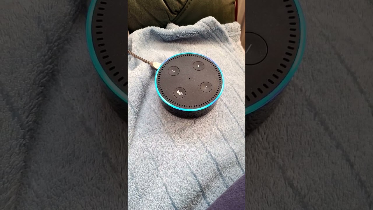 How to Play the Radio on Alexa Echo Dot