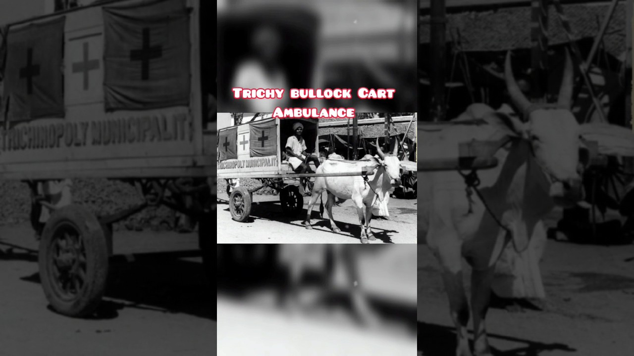 #trichyupdates #trichy #dravidianmodel #secularism #progressive #liberal #humor #ambulance #salem