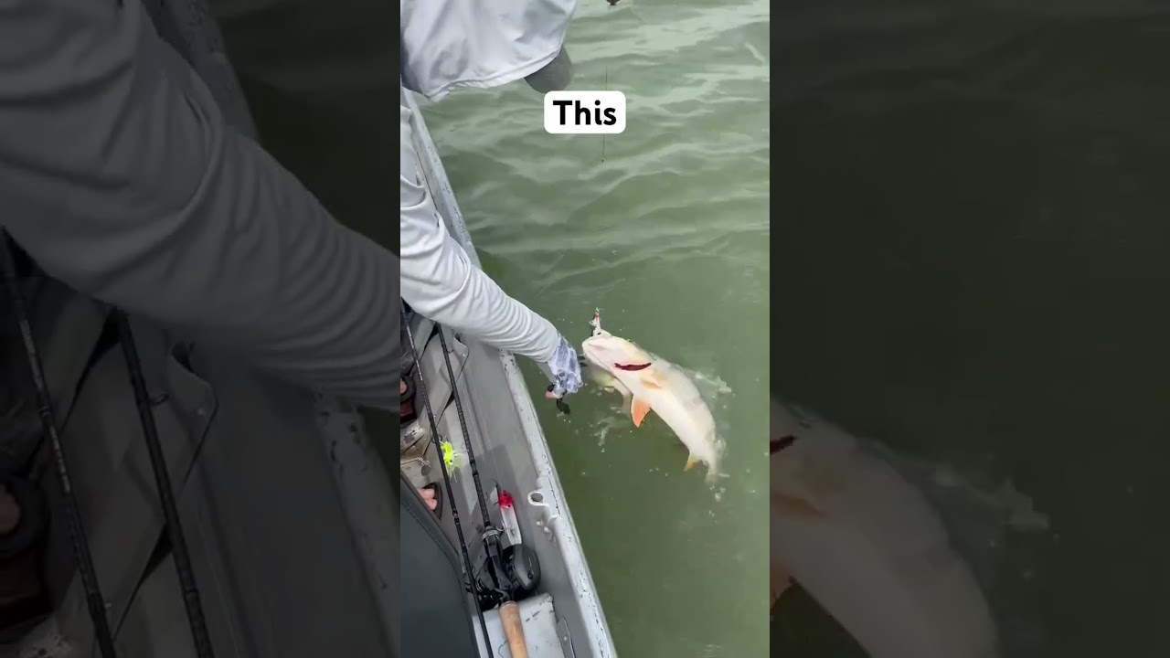 What happens when you add Pro-Cure? #fishing