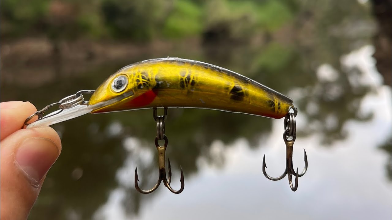 EP3: The Road To The 50cm Werribee River Bass